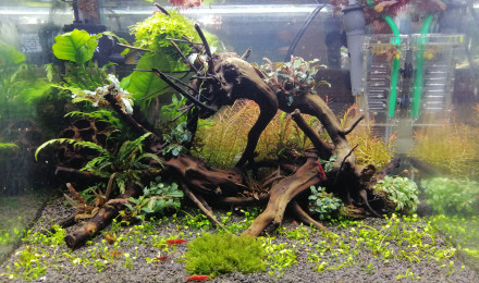 aquarium Nano 35L