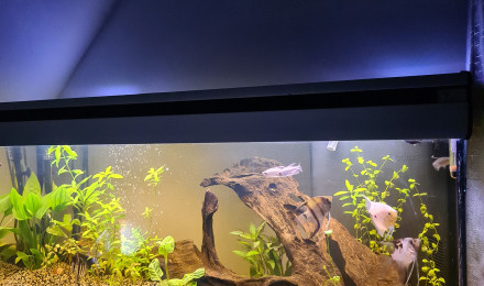 aquarium 180L
