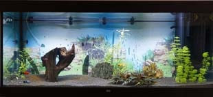 aquarium Juwel RIO 450