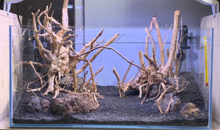 aquarium Tropical 58 L