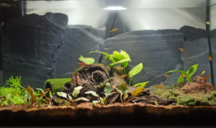 aquarium Nano