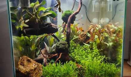 aquarium Nano