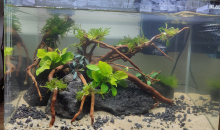aquarium Blau Cubic 45cm de 38L
