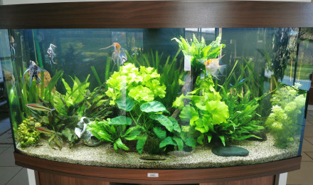 aquarium Juwel Vision 260