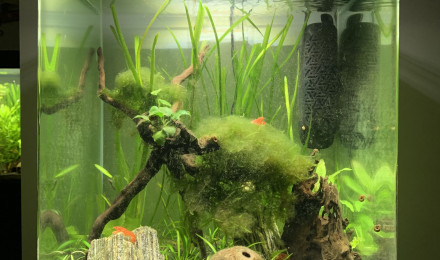 aquarium Nano Aquarium 60