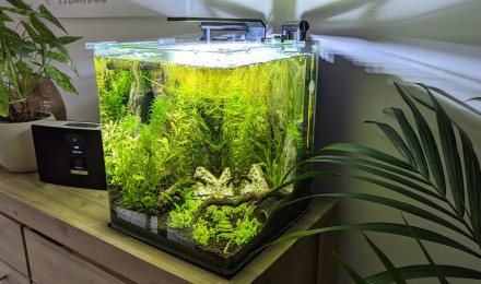 aquarium Nano 30