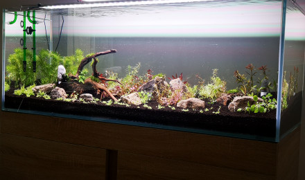 aquarium Aquarium full colors