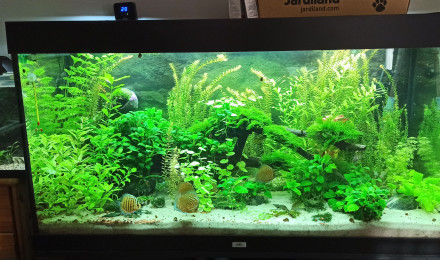 aquarium Bac 360L