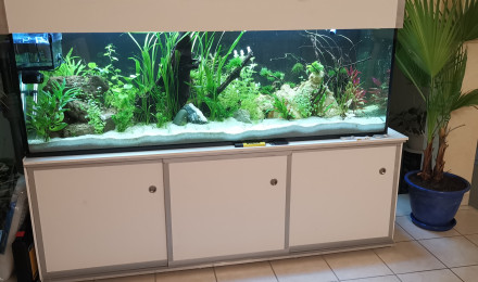 aquarium Nouvelle photo