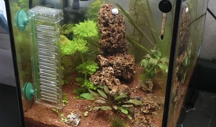 aquarium cube 30L
