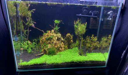 aquarium Galaxy home