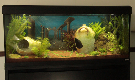 aquarium Ruines romaines