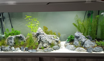 aquarium Aqua 240