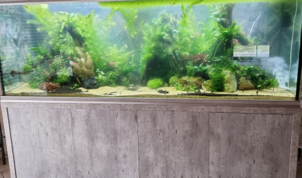 aquarium BULDO