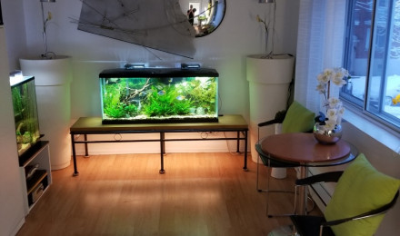 aquarium 210 litres No 1