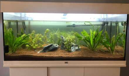 aquarium Aquarium 180L