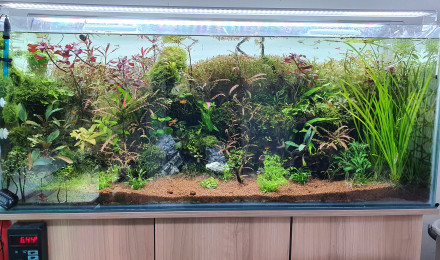 aquarium 300 litre