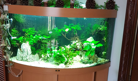 aquarium Juwel 350