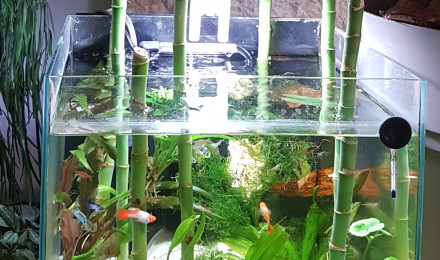 aquarium Nano ouvert 28 L