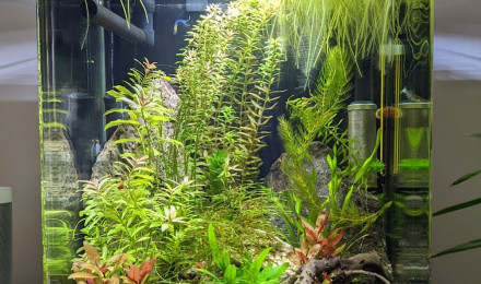 aquarium Nano 30