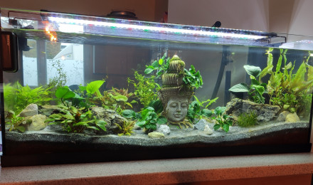 aquarium Juwel 160