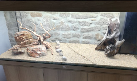 aquarium JUWEL 450