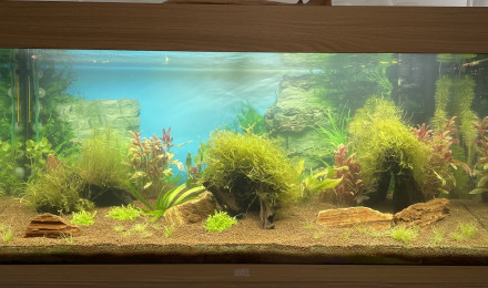 aquarium 180L