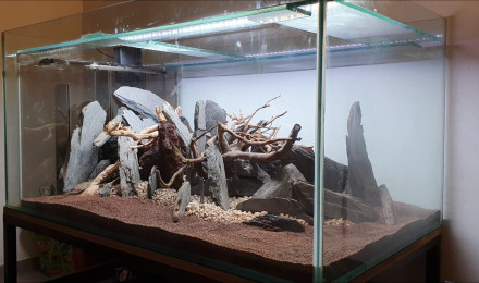 aquarium Le Temple des eaux