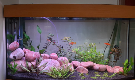 aquarium 180l juwel vision
