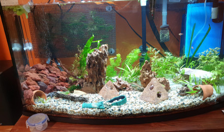 aquarium M 45g
