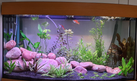 aquarium 180l juwel vision