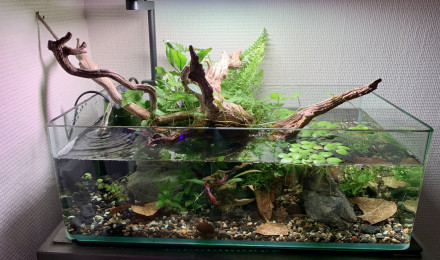 aquarium Shallow 17l