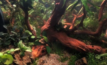 aquarium Nano 45L