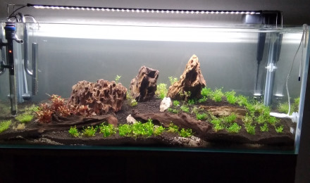 aquarium Cuve nue 160