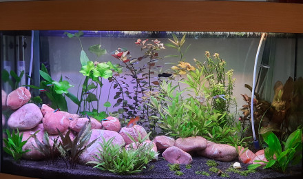 aquarium 180l juwel vision