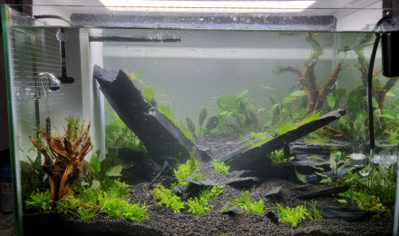 aquarium One
