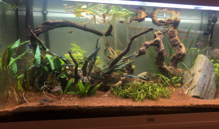 aquarium Aquarium 180L