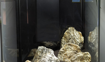 aquarium Cube salon