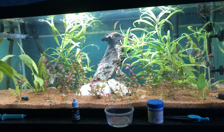 aquarium Aquarium