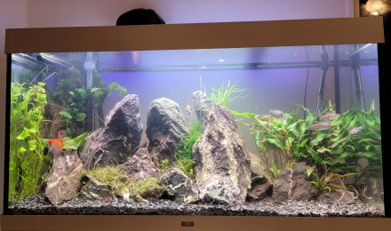 aquarium Montagne