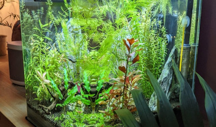 aquarium Nano 30