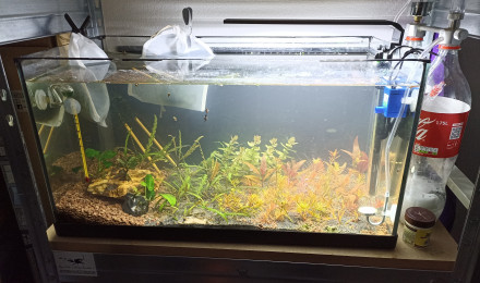 aquarium Aquapasdesous