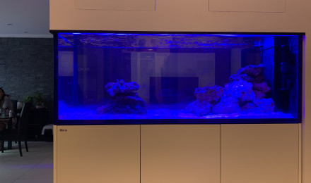 aquarium Redsea Peninsula 650