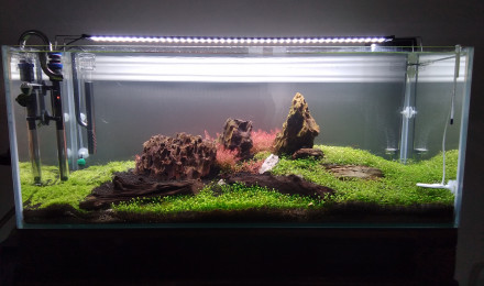 aquarium Cuve nue 160