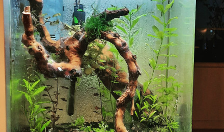 aquarium aquarium 30 litres