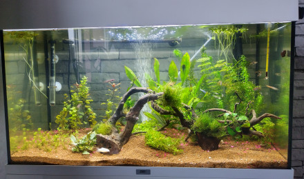 aquarium 120 litres