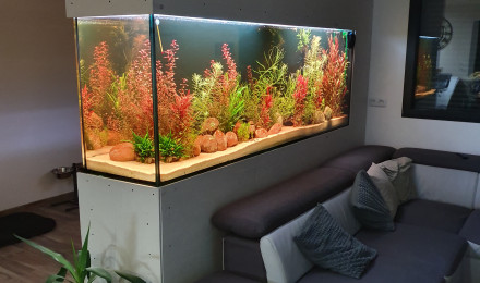 aquarium Mur
