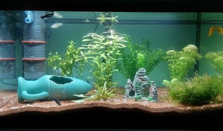 aquarium Bac 60l