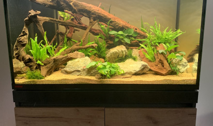 aquarium Eheim incpiria 330l