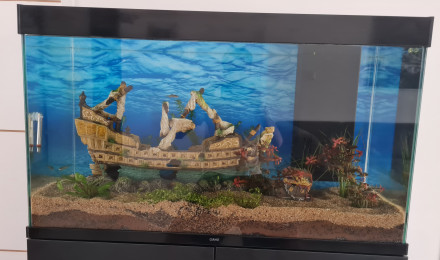 aquarium Salon